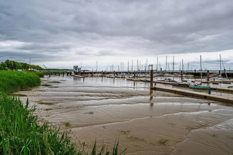 Pauillac, Gironde Estuary, Bordeaux, Gironde, Nouvelle-Aquitaine, France