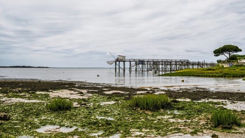Fishing huts over Randonnee entre Histoire et Nature from a drone, Fouras, Fouras-les-Bains,