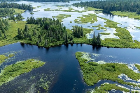 Lake and islands with vegetation, Boreal forest, Mastigouche wildlife reserve, Region of La