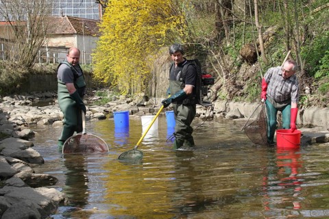 Fishermen, anglers fishing with current in the town stream of Mindelheim, fish counting and species