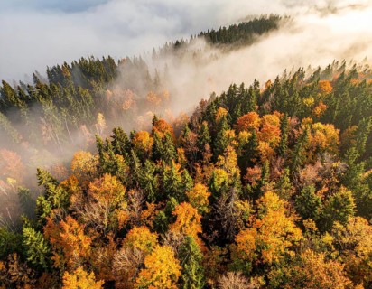 Mystical foggy landscape in autumn, colorful forest with fog in an aerial drone view, AI generated