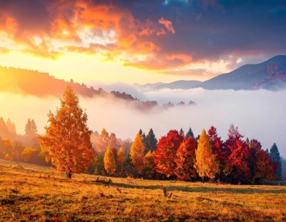 Mystical foggy landscape in autumn, colorful trees in fog, misty mood nature atmosphere, AI