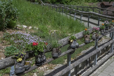 Wooden railing with flowers in worn mountain boots, Bavaria, Germany