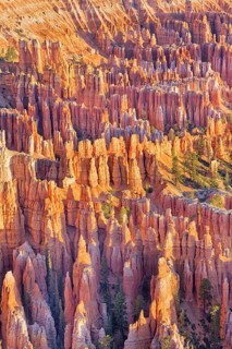 Bryce Canyon, Bryce Canyon National Park, Utah, USA