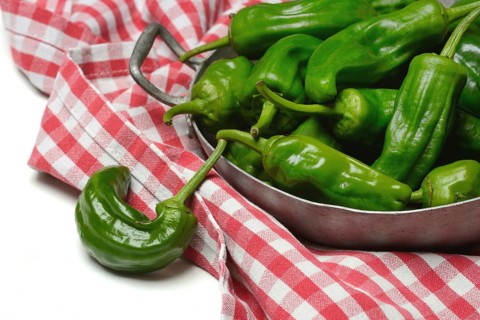 Padron chilli peppers in shell, Pimientos de Padron