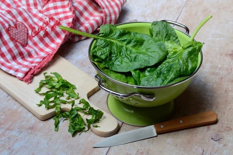 Spinach in sieve bowl, Spinacia oleracea