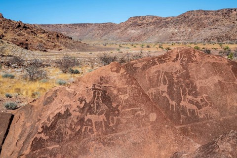 Depictions of animals on a rock slab, petroglyphs, rock engravings, Twyfelfontein, Kunene, Namibia