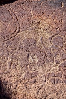 Detail, Depictions of animals on a rock slab, petroglyphs, rock engravings, Twyfelfontein, Kunene,