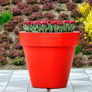 Large flower pot with tulips, Keukenhof gardens, Lisse, Bollenstreek, South Holland, Netherlands