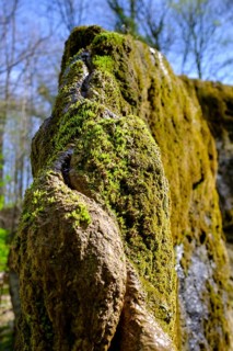 Growing rock, Steinerne Rinne in Usterling, Johannisfelsen natural monument, near Landau an der