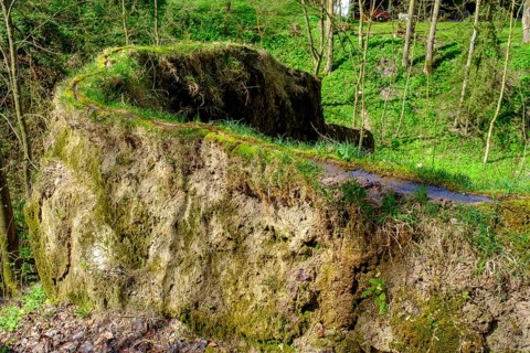Growing rock, Steinerne Rinne in Usterling, Johannisfelsen natural monument, near Landau an der