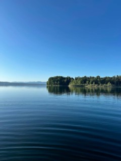 Wooded shore on Lake Starnberg, Bavaria, Germany
