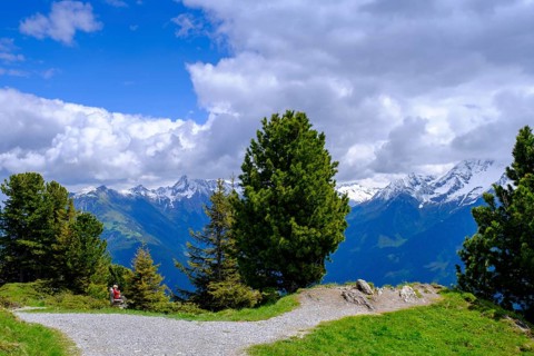 Panorama trail, Penken, Finkenberg, Mayrhofen, Zillertal, Tyrol, Austria
