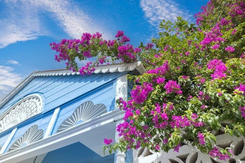 Dominican Republic, colorful colonial streets of Puerto Plata in historic city center