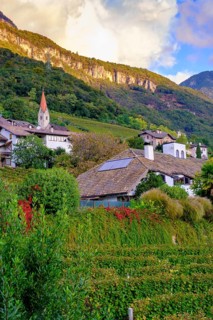 Tramin an der Weinstraße, with vineyards, Unteretsch, South Tyrol, Italy