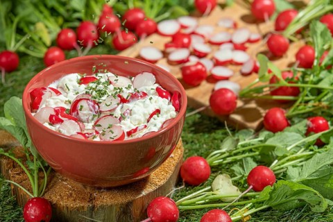 Bowl with cottage cheese, fresh radishes and herbs on a green meadow