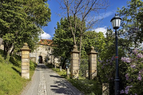 Stone entrance to a castle with cobblestone street and blue sky in the background, The Creuzburg in