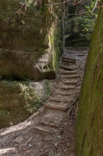 Timber formed stairs between rock formations along a hiking trail through Dismals Canyon near Phil