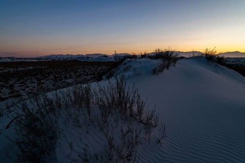 Desert grasses in flatter areas of the White Sands National Park in Alamogordo, New Mexico, USA