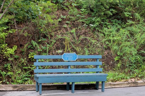 Wooden bench with sign for Designated Vaping Area at the Dollywood amusement park in Pigeon Forge,