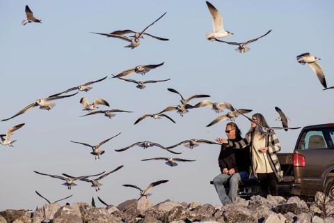 Man and woman tossing bread crumbs to sea gulls along the Mississippi Gulf Coast