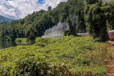 Steam from the Great Smoky Mountains Railroad hangs in the air as the train rounds a curve through
