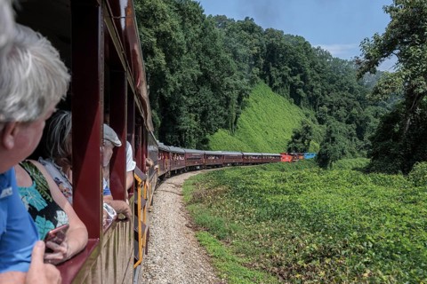 Great Smoky Mountains Railroad passengers looking out the windows of the open air train car while