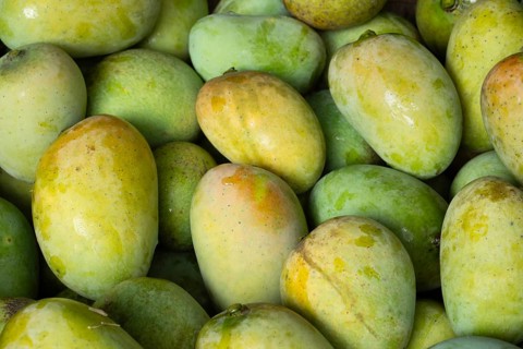 A close-up of fresh green mangoes tightly packed together, displaying a tropical and fresh