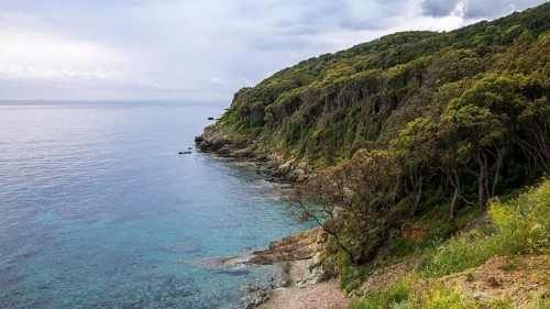 Coast, Cap Corse, Haute-Corse, Corsica, France