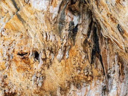 Birds nesting in the wall of the corlorful gorge La Garganta Verde, Sierra de Grazalema, Andalusia,