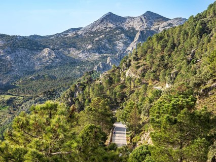 Mountain road, Sierra de Grazalema, Andalusia, Spain