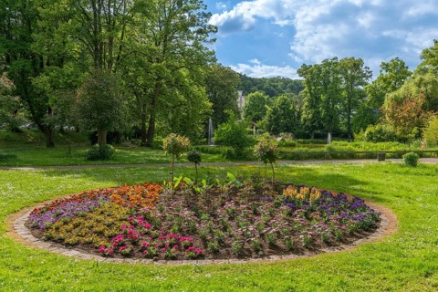 Park am Schwanen Teich, Bad Sooden, Allendorf, district Bad Sooden, round bed with blooming