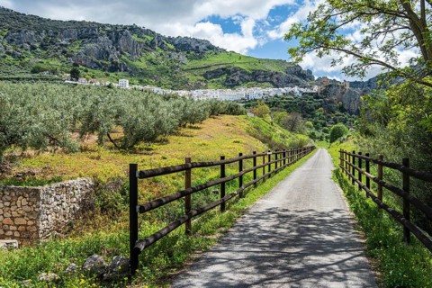 Cycle path via verde del aceite, below Zuheros castle and village, Sierras Subbéticas, Zuheros,