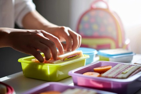Preparing school lunchboxes: woman's hands packing fruits and sandwiches, highlighting gender roles