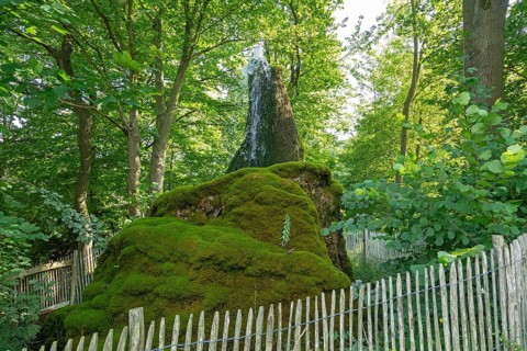 Wasserbaum, Ockensen, Salzhemmendorf, Lower Saxony, Germany