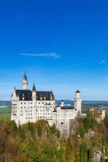 Neuschwanstein Castle towers over a colourful autumn forest under a clear sky, Schwangau,