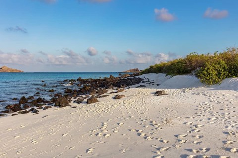 Gardner Bay beach, Isla Española, Galapagos, Ecuador