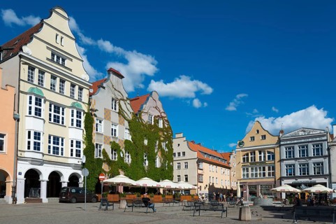 Impressive half-timbered houses in a sunlit street with lots of greenery, market square, Old Town,