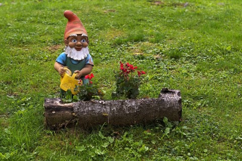 Garden gnome with watering can, Streitweider Alm, Taser Höhenweg, Schenna, Scena, South Tyrol,
