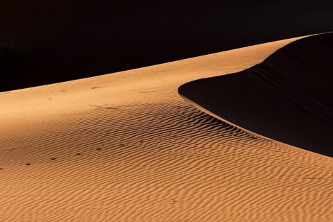 Sand dune, Namib Desert, Namibia