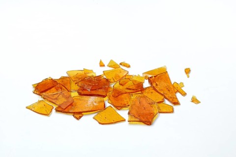 Shellac, shellac platelets, resin of the lacquer scale insect, Kerria lacca