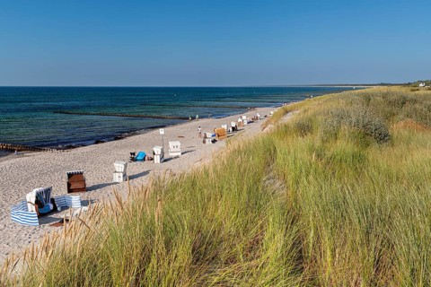 Hohes Ufer, Ahrenshoop, Fisch-Darß-Zingst peninsula, Mecklenburg-Western Pomerania, Germany,