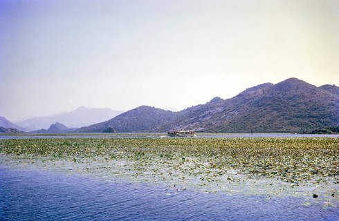 Boat trip onLake Shkodra Lake Skadar Lake Scutari, between Albania and Montenegro, former