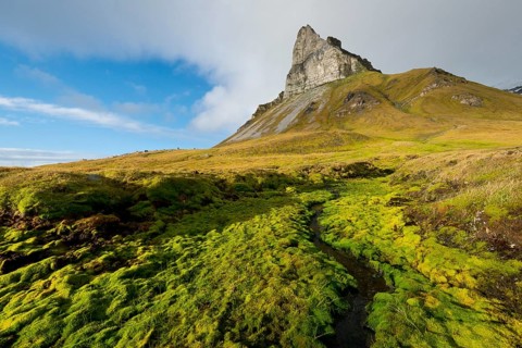 Alkhornet mountain, Trygghamna bay, Isfjorden fjord, Spitsbergen, Svalbard Islands, Svalbard and