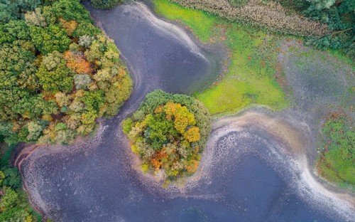 Mixed forest in autumn, colouring, aerial view, forest, autumnal, Ahlhroner Fischteiche,