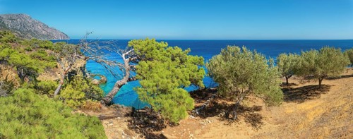 Green trees on a cliff with a wide view of the sea, hiking trail from Avlona to Diafani, Avlona,
