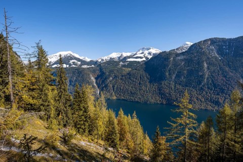 View of the Königssee from the Rinnkendlsteig mountain hiking trail, autumn forest with yellow