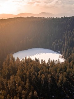 A fenced lake in golden sunlight, nestled in a dense forest, Glaswaldsee, Bad Rippoldsau-Schapbach,