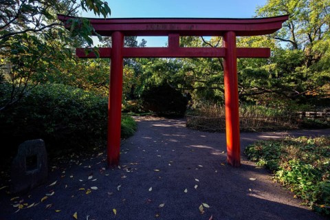 Japanese Torii Gate, Japanese Garden, Zoological City Garden, Karlsruhe, Baden-Württemberg, Germany