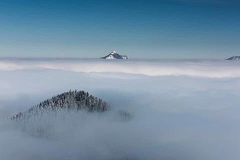Snow-covered peak of Mt Grünten above the layer of fog, Ofterschwang, Oberallgäu district, Bavaria,